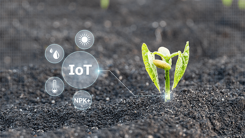 Tarımda IoT